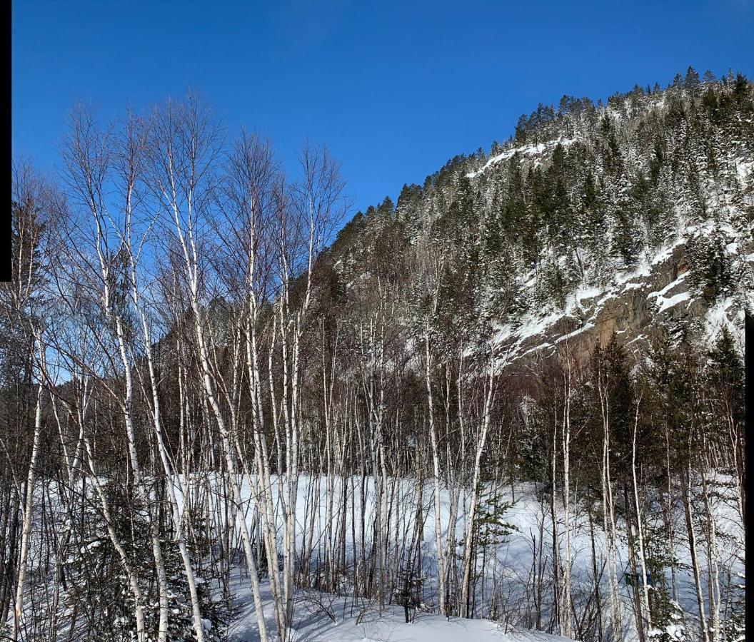 Condo Mont-Edouard LʼAnse-Saint-Jean Eksteriør bilde